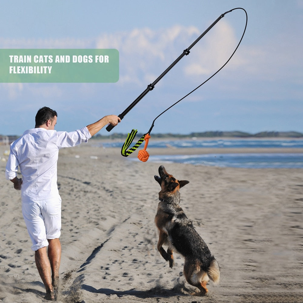 Retractable Pole Dog Chew Toy - wonderfulandamazingstuff