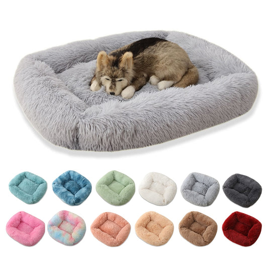 Plush Dog Bed & Cat House Basket - wonderfulandamazingstuff